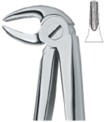 Instrumentos Dentales, Fórceps para Extracción de Dientes, Acero Inoxidable Manual, Acero Inoxidable Alemán de Primera Calidad, Autoclavable - Product Image 4