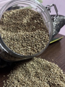 Graines de fenugrec indien de qualité export, Ajwain naturel entier séché, épice brute pour la cuisine et la transformation alimentaire - Product Image 2