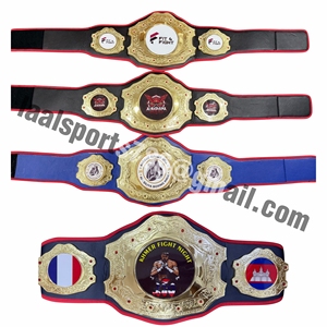 Ceinture de championnat de lutte personnalisée avec logo, taille adulte, unisexe, ceinture de titre en métal plaqué or, vente en gros d'usine OEM - Product Image 6