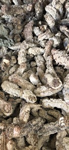 Premium Vietnamese Dried Sea Cucumber 2025 Top Quality Naturally Processed For Export - Product Image 6