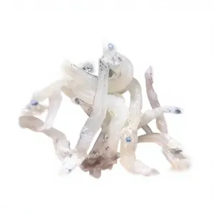 Anchois séchés 100% naturels de qualité supérieure, congelés sous vide (FD BQF), salés, du Vietnam, prêts à l'emploi, 12 mois+ de conservation, OEM, 1000KG - Product Image 1