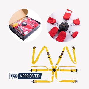 Cinturón de Seguridad para Carreras de Competición, Homologado por la FIA 8853 2016, TBRACING, Logotipo Personalizado, OEM, ODM, Agente de Marca, Ajustadores Ligeros - Product Image 2