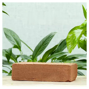ลดราคา! โคโคพีทสำหรับสวน  โคโค่โคอิร์  โคโคพีทบล็อก 5 กก. ดินปลูกโคโคพีท  หาซื้อดินปลูกโคโคพีทได้ที่ไหน - Product Image 4