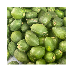 Tranches de papaye séchées de qualité supérieure, collation de fruits tropicaux, fournisseur en gros pour la transformation alimentaire, la boulangerie, les céréales et les desserts - Product Image 3