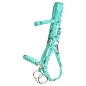 Bridon de cheval en nylon turquoise avec sangles réglables, quincaillerie métallique et mors pour l'équitation western et l'équipement équestre - Product Image 1