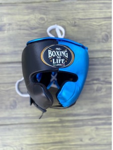Customized No Boxing No Life Black and Blue Sparring Set Including Boxing Gloves - Headgear - Groin Guard Lace-Up Breathable - Product Image 5