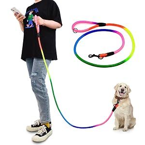 Rainbow <b>Dog</b> <b>Leash</b> OEM ODM Custom Logo Heavy Duty Nylon Pet Walking <b>Leash</b> Direct Manufacturer - Product Image 3