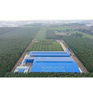 น้ำมะม่วงผสมน้ำอัดลมบรรจุขวด PET 500 มล. รับผลิตแบบ OEM ODM แบรนด์ส่วนตัว รุ่น NV-500ML-MJ - Product Image 3