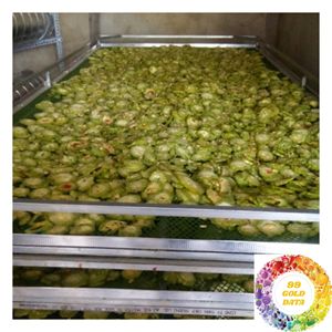 Rodajas de Melón Amargo Secas al por Mayor, Suministro de Fruta Natural en Rodajas, Bolsa de 15 kg para Productos de Té, Productores y Distribuidores de Bebidas - Product Image 2