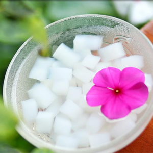 Cubes de nata de coco vietnamienne de haute qualité, taille 8x8 mm, pour la production industrielle de jus et la restauration, 99 Gold Data - Product Image 5