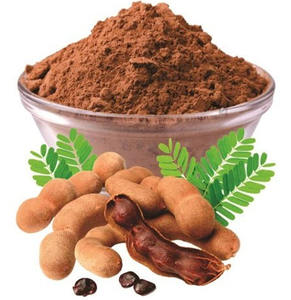 Extracto Puro de Tamarindo en Polvo para Formulaciones de Ingredientes Nutricionales y Funcionales, Confiado por Fabricantes Líderes - Product Image 2