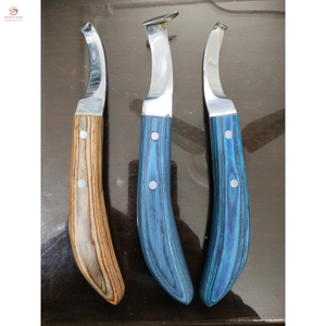 Couteau professionnel de soin des sabots, couteau à boucle détachable, manche arc-en-ciel, boucle pour abcess, poignée en bois, fin et incurvé, en acier inoxydable - Product Image 1
