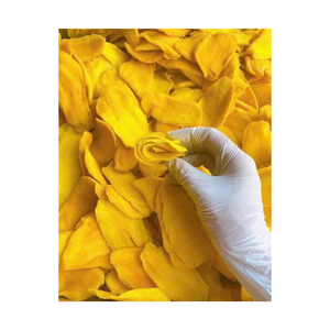 Mango Seco Picante con Sal de Chile, Dulce y Picante, Bocadillo de Fruta Tropical, Suministro a Granel, Vietnam - Product Image 2