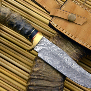 Couteau de survie pour la chasse et le camping, lame fixe en acier inoxydable, couteau d'extérieur avec poignée ergonomique antidérapante pour la randonnée et la pêche - Product Image 5