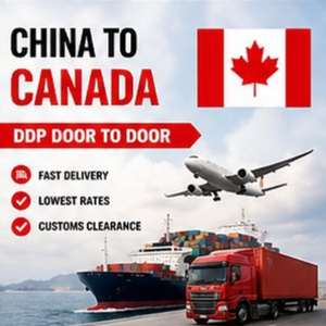 <b>Freight</b> Forwarder China to Canada | DDP Shipping | Furniture Sea <b>Freight</b> | Door to Door <b>Agent</b> - Product Image 3