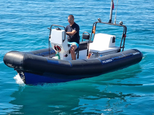 B-O-O-M-E-R-A-N-G-E-R C-680 - Product Image 3