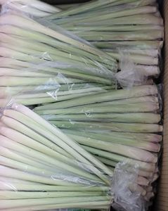 Hierba de Limón Congelada IQF - Hierba de Limón en Rodajas/Picada para Exportación, Producto de Vegetales Congelados - PROVEEDOR VIETNAM/ Sra. Selina - Product Image 1