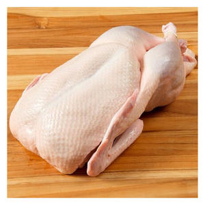 เนื้อไก่กินีแบบแช่แข็งคุณภาพสูง - Product Image 3