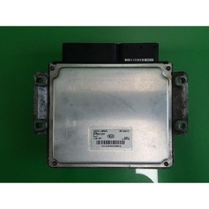 ECUs y Módulos de Computación Usados de Carnival 391044X945 - Product Image 4