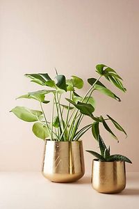 Ensemble de pots de fleurs traditionnels en acier doré avec support en bois, porte-plantes décoratif d'intérieur durable, jardinières faites à la main - Product Image 6