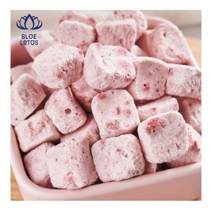 Yogurt Seco en Trozos, el Más Vendido, para Meriendas Diarias y como Adorno para Postres y Productos de Panadería - Product Image 2