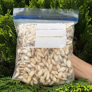 Bolsas con cierre hermético que protegen los productos de la humedad, el polvo y los olores, al mismo tiempo que ofrecen un almacenamiento seguro y reutilizable diariamente. - Product Image 3