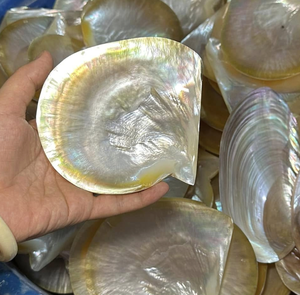 Premium <b>Decorative</b> Mother of Pearl Plate Vietnam Natural Shell Material for Vanity Tray <b>Dressing</b> <b>Table</b> Gift Tray - Product Image 4