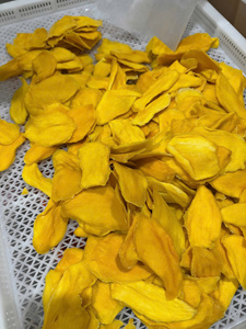 Mangues séchées douces de haute qualité en emballages personnalisés de 100g, 250g, 500g, 1000g, fabrication OEM au Vietnam - Product Image 5