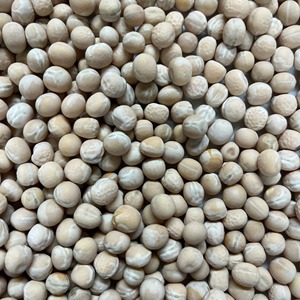 Guisantes Blancos Premium Ricos en Proteínas y Fibra Naturales para Ingredientes Alimenticios a Granel y Suministro de Exportación para Compradores de Alimentos en Todo el Mundo - Product Image 6