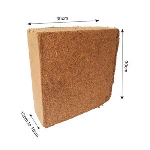 Brique de coco de qualité supérieure pour projets paysagers intérieurs créatifs et pour la propagation de plantes robustes - Product Image 2
