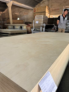 Láminas de Madera Contrachapada de Abedul 100% Personalizadas, de Alta Calidad, Comerciales, E0, Libres de Formaldehído, Modernas, para Muebles, Gabinetes, Talleres y Decoración - Product Image 5