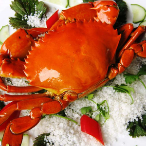Mejor Precio Cangrejo de Lodo Congelado al Vapor, Mariscos Naturales para Importadores, Mayoristas y Distribuidores de Mariscos - Product Image 1