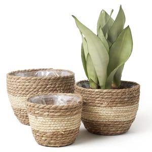 Maceta de mimbre tejida al por mayor, estilo vintage, ecológica, cesta para flores, jardinera y organizador decorativo para el hogar 2026 - Product Image 2