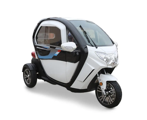 MEILLEURE OFFRE 2026 : Mini-voiture à trois roues avec cabine fermée, design blanc et noir, vitesse maximale inférieure à 40 km/h, Pocket Bike - Product Image 1