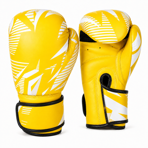 Équipement de boxe de haute qualité - Product Image 4
