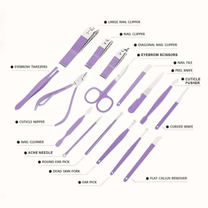 Professional 16-Piece Stainless Steel Beauty Instrument Set Manicure & Pedicure Tool Including Beauty Instruments with <b>Case</b> - Product Image 4