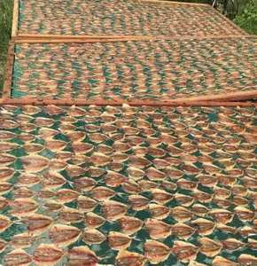 ปลาสแคนด์เหลืองแห้งปรุงรสแบบไม่ใช่จีเอ็มโอ สำหรับตลาดเอเชียและยุโรป ผู้จัดจำหน่ายขายส่ง - Product Image 2