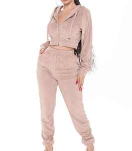 Ensemble survêtement streetwear surdimensionné en velours de haute qualité, 100 % coton, avec pantalon de jogging et sweat à capuche vierges, personnalisable, pour fabricants - Product Image 1