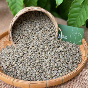 ส่งออกเมล็ดกาแฟอาราบิก้าสีเขียว 60 กก. แบบถุง กระบวนการล้างด้วยน้ำผึ้ง คุณภาพพรีเมียม ความสุกสูง 99% ผู้ค้าส่งระดับโลก เวียดนาม - Product Image 2