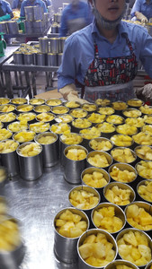 PRIX SUPER BAS ANANAS EN TRANCHE EN CONSERVE// FRUITS EN CONSERVE DE HAUTE QUALITÉ EXPORTATION DU VIETNAM// Mme Beatrix - Product Image 6