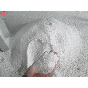 Soluciones de carbonato de calcio de primera calidad Rendimiento mejorado para recubrimiento y pintura - Product Image 1