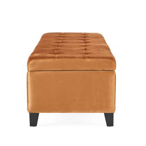 Panca Rettangolare Imbottita con Contenitore e Poggiapiedi per Soggiorno, Ingresso e Camera da Letto - Product Image 4