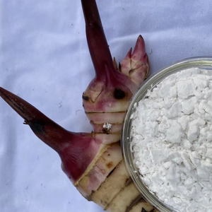 Almidón de Araroto Orgánico en Polvo, Sabor Natural para Alimentos e Ingredientes, Empacado en Bolsa, Procedente de Vietnam - Product Image 1