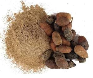Polvo de Syzygium Cumini Premium, Polvo de Semilla de Ciruela Negra India, Polvo Natural de Jamun, Apoya la Función Renal - Product Image 1
