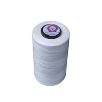 Meilleur Fournisseur Fil DTY 100% Polyester Filé à Anneaux et Filé en Cœur 300/96 RW HIM Haute Ténacité Teint Texturé