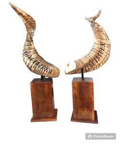 Shofar Kosher de la mejor calidad, Natural cuerno de carnero, oveja soplada para bodas y fines religiosos, Shofar de cuerno pulido, regalo novedoso - Product Image 3