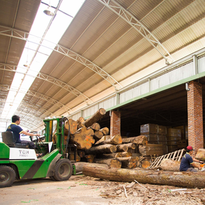 Parquet en bois d'ingénierie multicouche de luxe au design moderne, chêne européen, style chevron, chevrons, huilé UV, clair, pour salon - Product Image 2