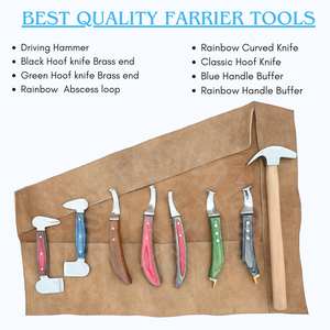 Kit d'outils de fermeur en gros : Marteau de fermeur, Couteau à abcess arc-en-ciel, Deux couteaux à sabots à extrémité en laiton et Couteau à lame en D, Couteau à sabotage - Product Image 2