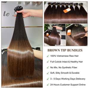 Extensiones de Cabello de Doble Trama de Alta Calidad, 100% Cabello Vietnamita Virgen Remy Natural, Color Marrón con Puntas, Precio al por Mayor - Product Image 6