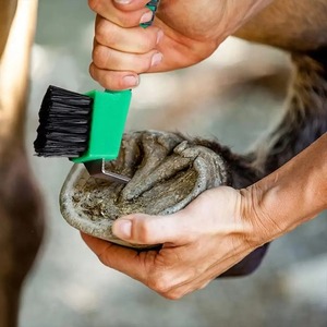 Cepillo para Pezuñas de Caballo con Cerdas de Nylon, Agarre Cómodo, Herramienta de Limpieza de Pezuñas de Metal Antideslizante, Color Aleatorio, Herramienta de Cuidado Equino - Product Image 4